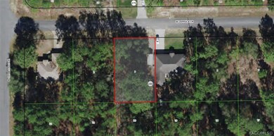 3748 W Lappula Ln, Citrus Springs, FL 34433 - photo 4