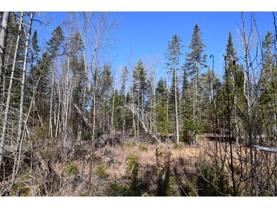 0 Bailey Rd, Jefferson, NH 03583 - photo 6