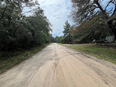 TBD Rintz St, Interlachen, FL 32148 - photo 3