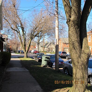 View of the Street