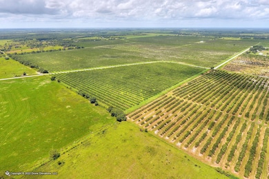 5015 Fish Branch Rd, Zolfo Springs, FL 33890 - photo 7