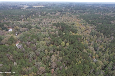 DJI_0864