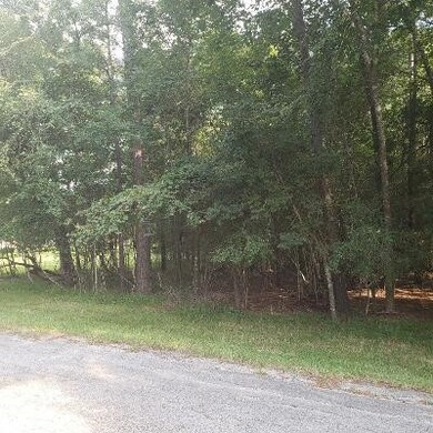 15910 Lone Shadow Tr, Stagecoach, TX 77355 - photo 2