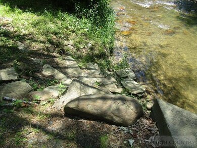 Stepping Stones: Easy access into the creek.