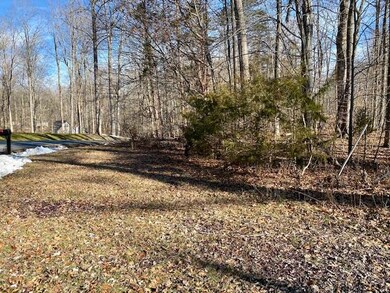LOT 254 N Lakeshore Dr, Louisa, VA 23093 - photo 5