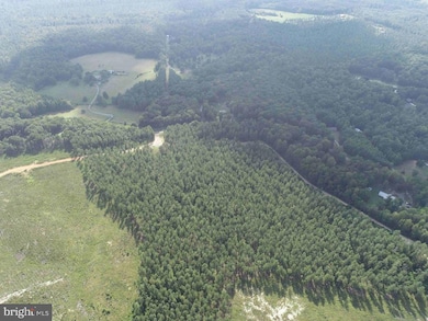 0 Dogwood Drive (Tract: Jr Bedford-Bowles_sims-3) unit VAFN2000524, Columbia, VA 23038 - photo 5