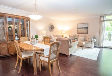 20 Maple Tree Ct, Elmhurst, IL 60126 - photo 5