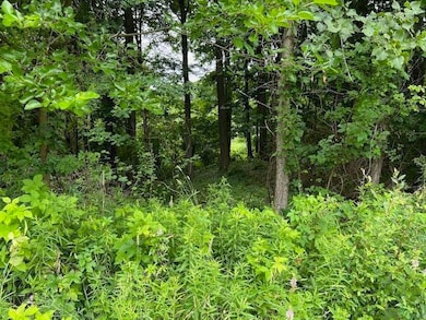 0000 Oak Ridge Hills unit 7, Marshall Township, MI 49068 - photo 4