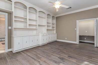 Another view of the Study with the closet/storage