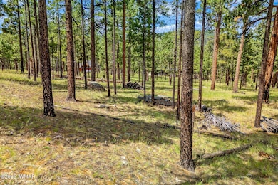16 N1062, Greer, AZ 85927 - photo 3