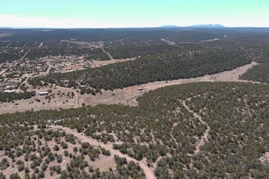 0 Morper Ln unit 1079892, Edgewood, NM 87015 - photo 4