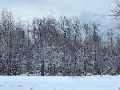 35885 Sterling Hwy, Anchor Point, AK 99556 - photo 6