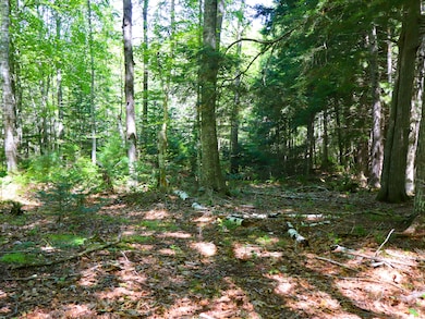 710-644 Beechwood St, Warren, ME 04864 - photo 5