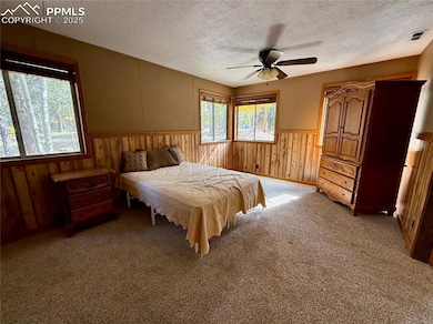 753 Will Stutley Dr, Divide, CO 80814 - photo 7