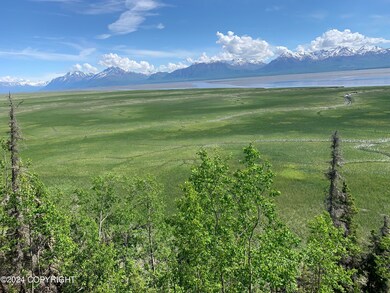 IMG_4081