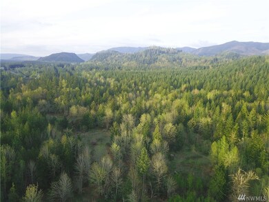 37404 304th Ave SE, Enumclaw, WA 98022 - photo 7