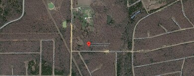 1710 Peaceful Hollow Dr, Horseshoe Bend, AR 72512 - photo 5