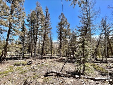 2834 Middle Fork, Fairplay, CO 80440 - photo 7