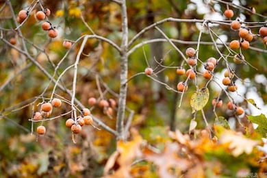 0 Cr 663, Oak Grove, AR 72660 - photo 7