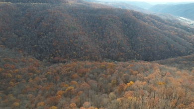 0` Hondo Ln, True, WV 25951 - photo 4