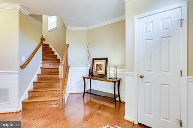 42965 Edgewater St, Chantilly, VA 20152 - photo 4