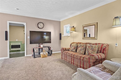 529 5th St, Wood River, IL 62095 - photo 5