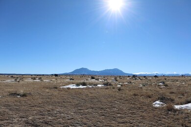 0 Rio Cucharas unit 44, Walsenburg, CO 81089 - photo 6