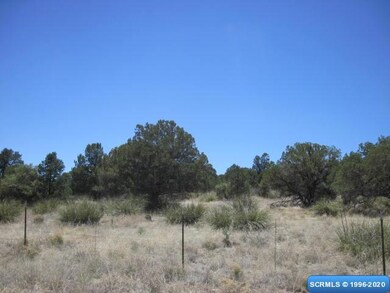 0 Valley Dr, Silver City, NM 88061 - photo 2
