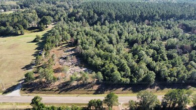 TBD Farm To Market 1004, Call, TX 75933 - photo 6