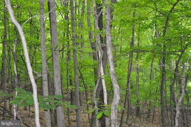 00 Pennsylvania 61, Ashland, PA - photo 4