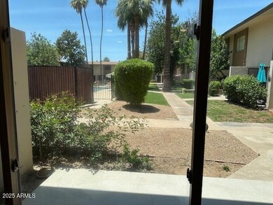 View From Family Room Window