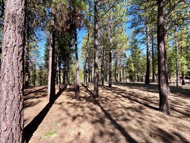 53514 Wildriver Way, La Pine, OR 97739 - photo 6