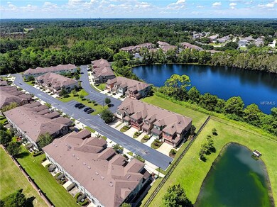 View from up above of the back yard