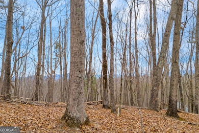 0 Douglas Fir Dr unit 10450306, Cleveland, GA 30528 - photo 3