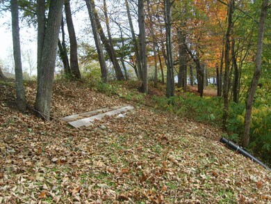 River bank in fall
