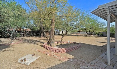 Extra Large Yard