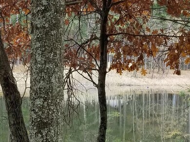 0 Arbutus Ln unit 1532647, Adams, WI 54754 - photo 3