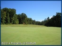 16 Palmer Court Dr, Drums, PA 18222 - photo 6