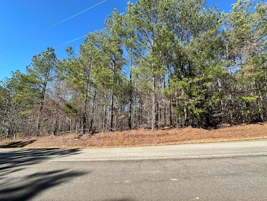 L31 Willow Way, Lincolnton, GA 30817 - photo 4