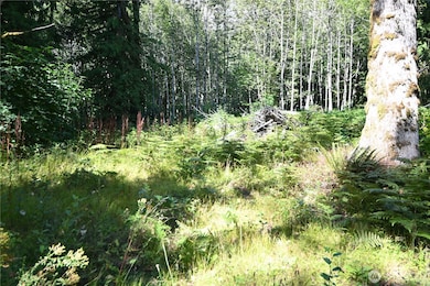 0 U S Highway 2, Baring, WA 98224 - photo 4