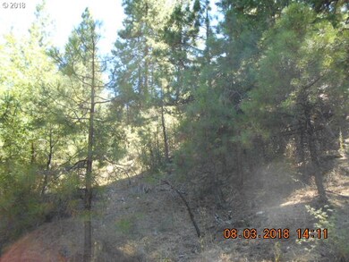 0 Gardner Ranch Ln, Canyon City, OR 97820 - photo 7