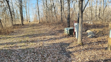 28515 Fool's Lake Dr, Two Inlets Township, MN 56470 - photo 5