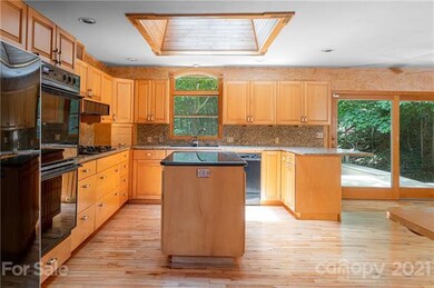 14 Elmwood Ln, Asheville, NC 28803 - photo 6