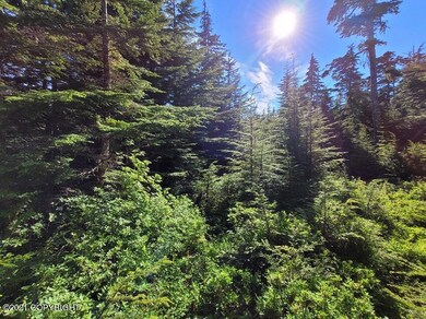 Trees edging
