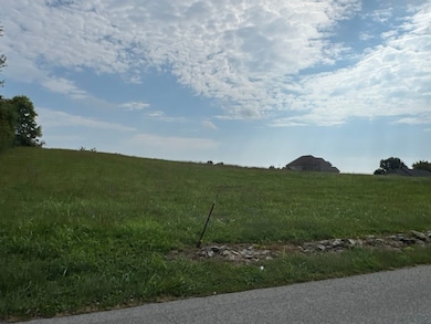 0 Eagle Bluff Rd, Jacksboro, TN 37757 - photo 2