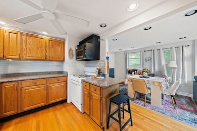 15 Linden Thomas Rd, Randolph, MA 02368 - photo 5