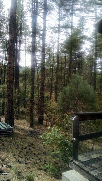 6456 W Kenny Cir, Pine, AZ 85544 - photo 5