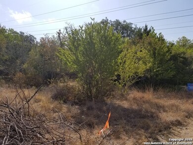 4734 Shady Ln, Schertz, TX 78154 - photo 5