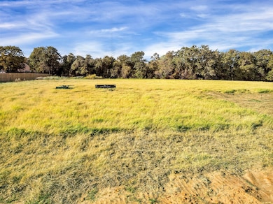 2202 Rattler Way, Tolar, TX 76476 - photo 2