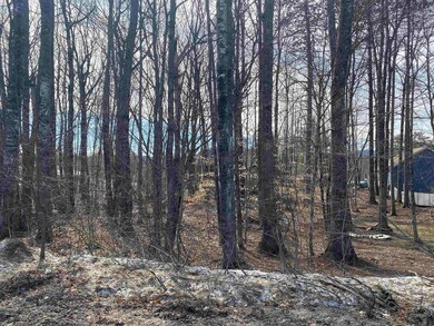 6 Lucerne Dr unit Lot 70 previously C-, Madison, NH 03849 - photo 2